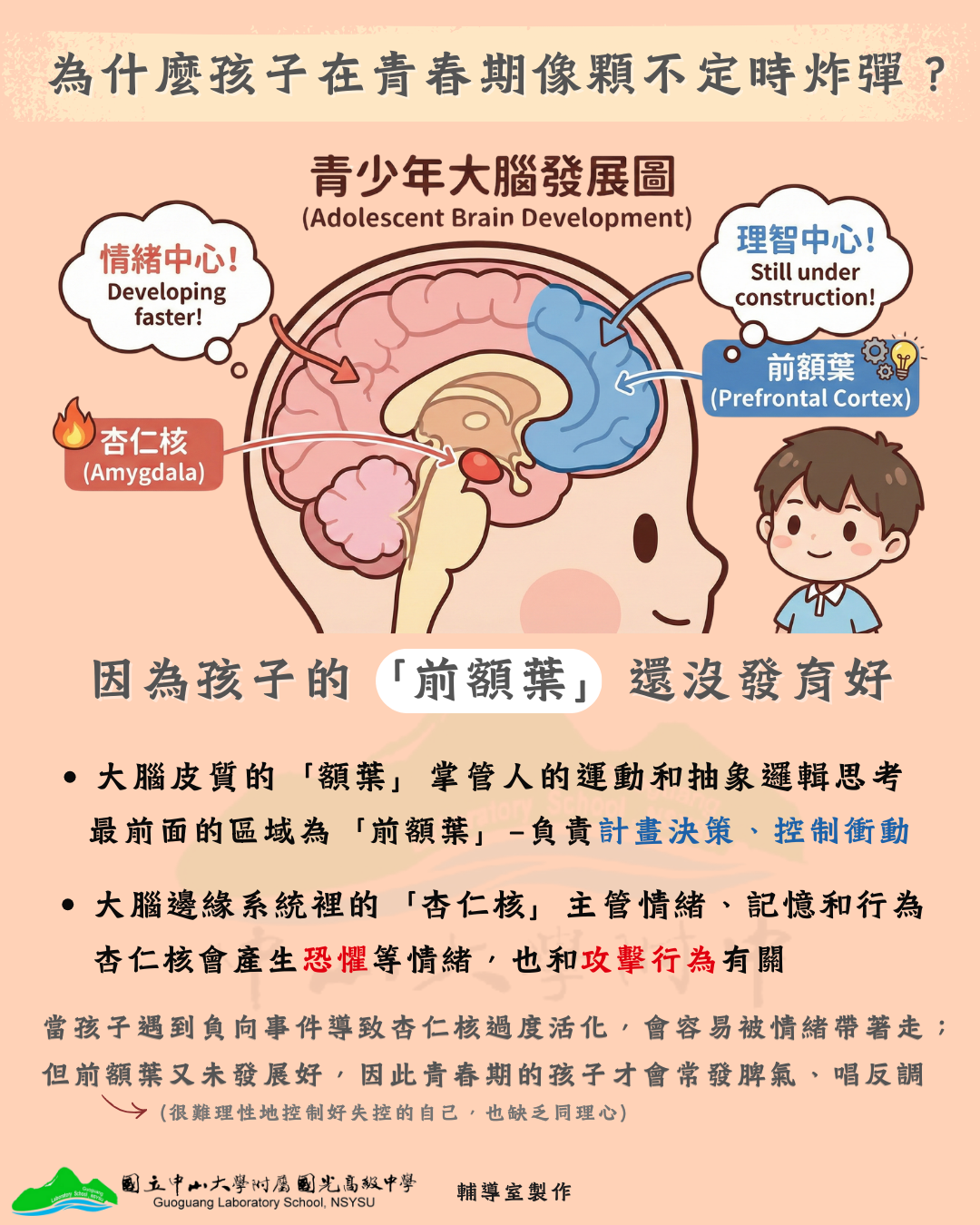 親職圖卡-瞭解孩子「叛逆」後的大腦發展2