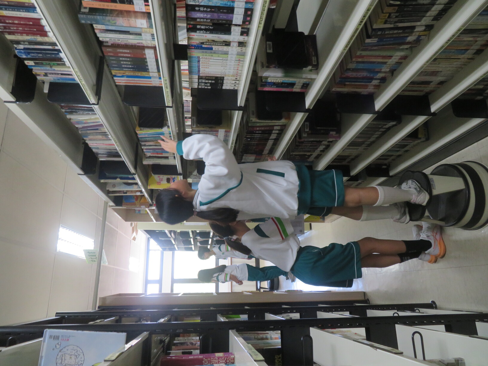 11508圖書館利用教育圖片